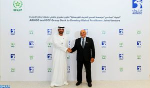OCP ADNOC M