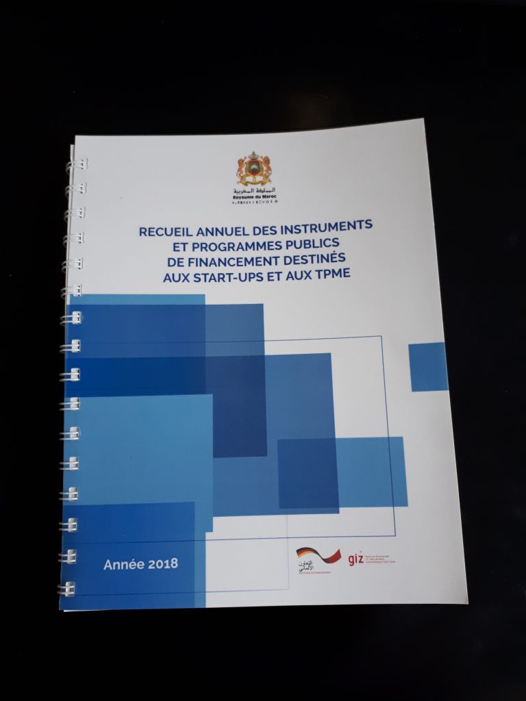 Recueil annuel des instruments et programmes publics de financement destinés aux start-ups et aux PME. 1 recueil Financement TPME