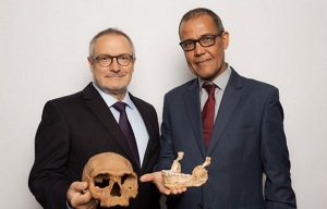 Archeologie homosapiens.jpg
