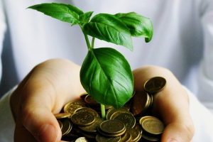 économie verte
