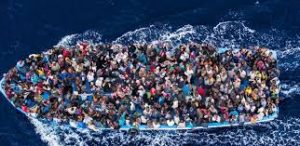 migration