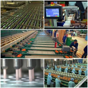 Souss Massa ippiem production industrielle
