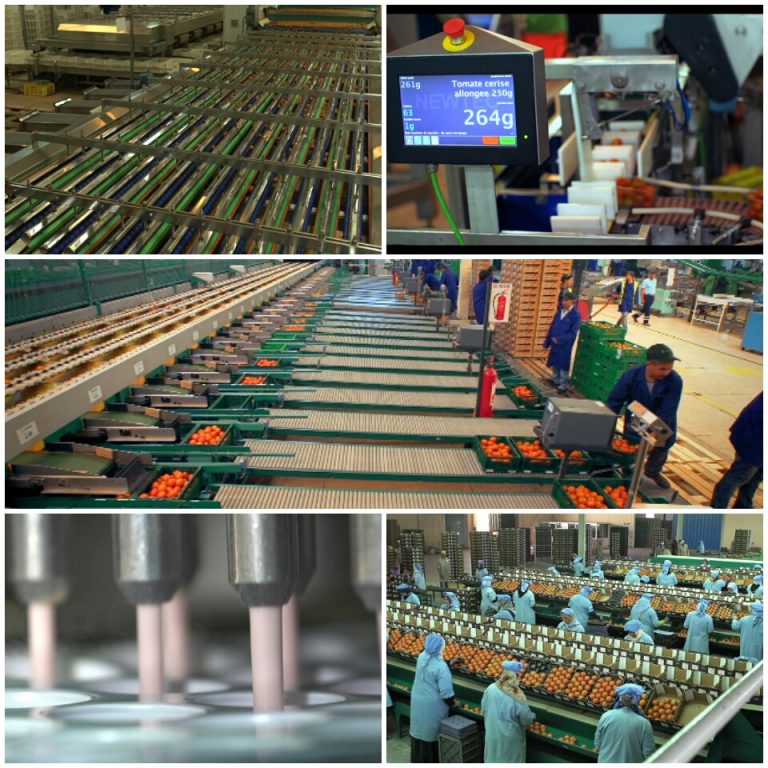 Souss Massa ippiem production industrielle