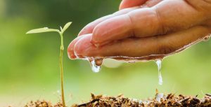 sécurité alimentaire agriculture agriculteur Grand Prix National de la Presse Agricole et Rurale