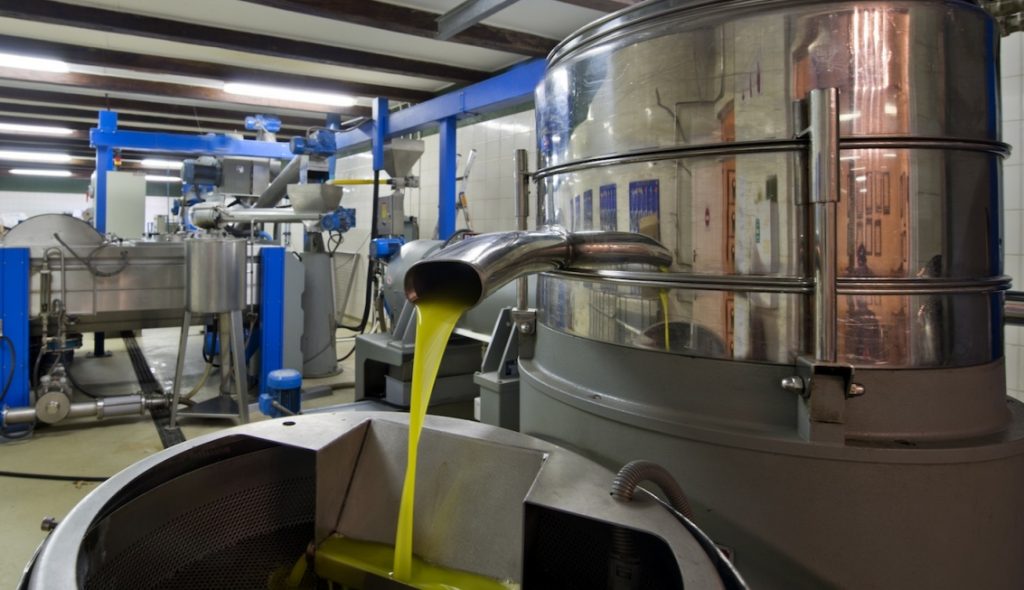 oléiculture olive huile d'olive