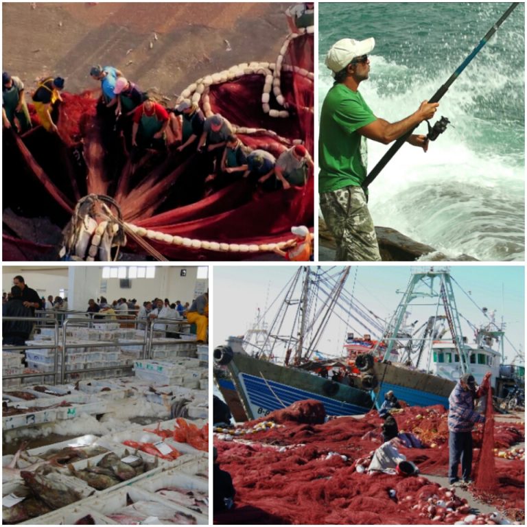 produits de pêche
