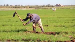 campagne agricole travailleurs ruraux