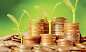 AMMC Finance durable