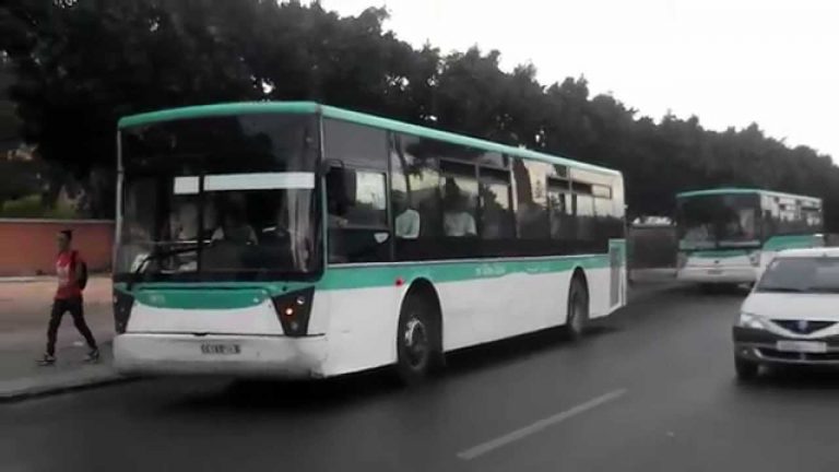 bus casa