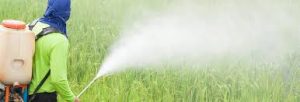pesticides
