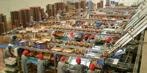 alimentaire