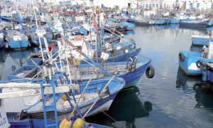 INRH pêche aquaculture recherche halieutique