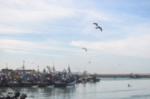 pêche maritime
