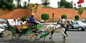 tourisme