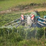 pesticides