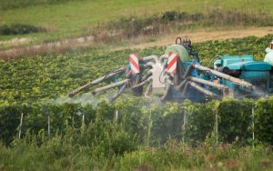 pesticides