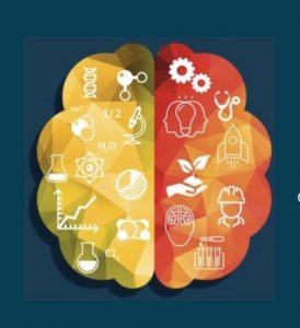 x-maro économie du savoir innovation r&d