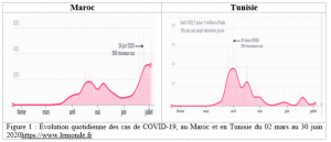 figure1 1