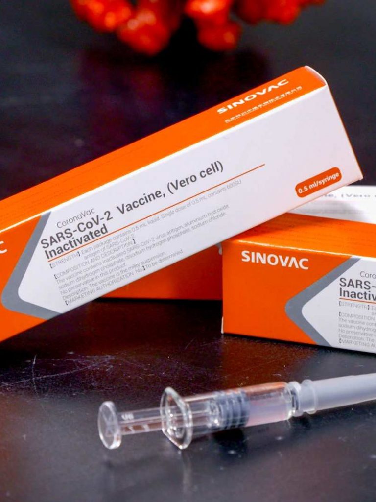 covid-19 sinopharm coronavirus vaccin coronavac brésil