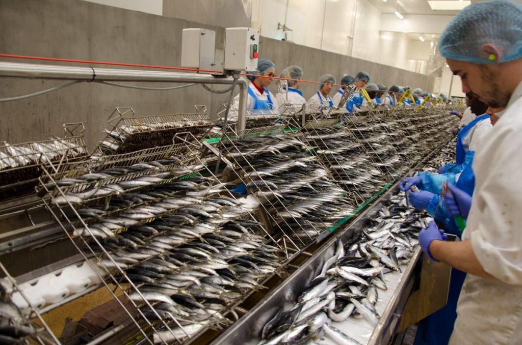 conserves de poissons