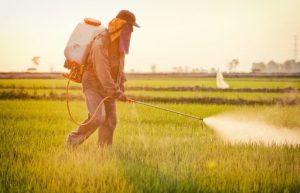pesticides
