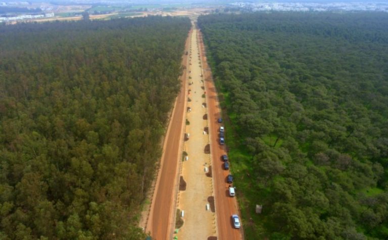 forêt