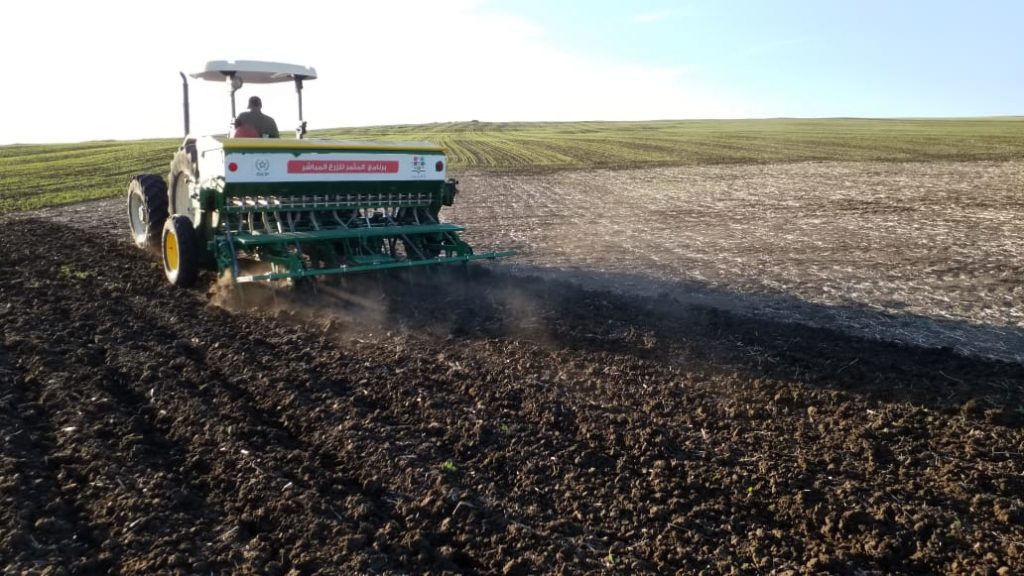 Précipitations record : vers une campagne agricole prometteuse 1 précipitations agricole al moutmir