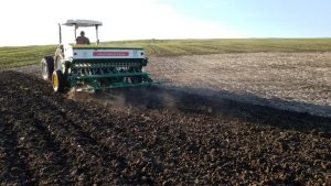 précipitations agricole al moutmir