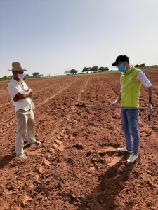pluies agriculture