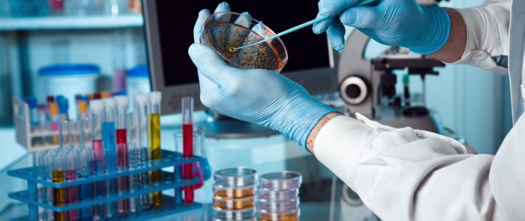 La Recherche Biomédicale au Maroc : une avancée significative dans le secteur de la santé 1 recherche médicale