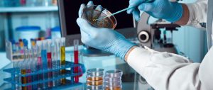 recherche médicale