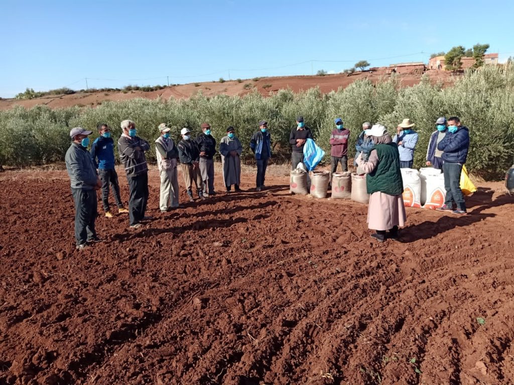 agence mca-morocco onca malekisation terres collectives