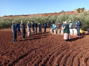 agence mca-morocco onca malekisation terres collectives