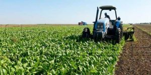 campagne registre national emploi agricole classe moyenne rurale génération green