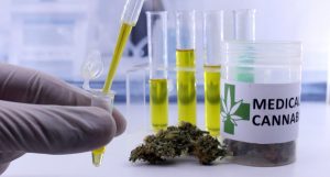 cannabis anrac