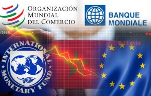 instances internationales