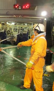 maroc telecom maintenance cable offshore