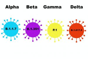 Covid-19 Delta