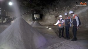 hydrocarbures