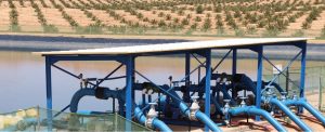 cmgp cas Agriculture