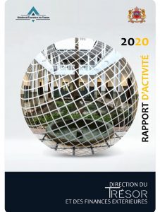 DTFE covid rapport d'activité 2020