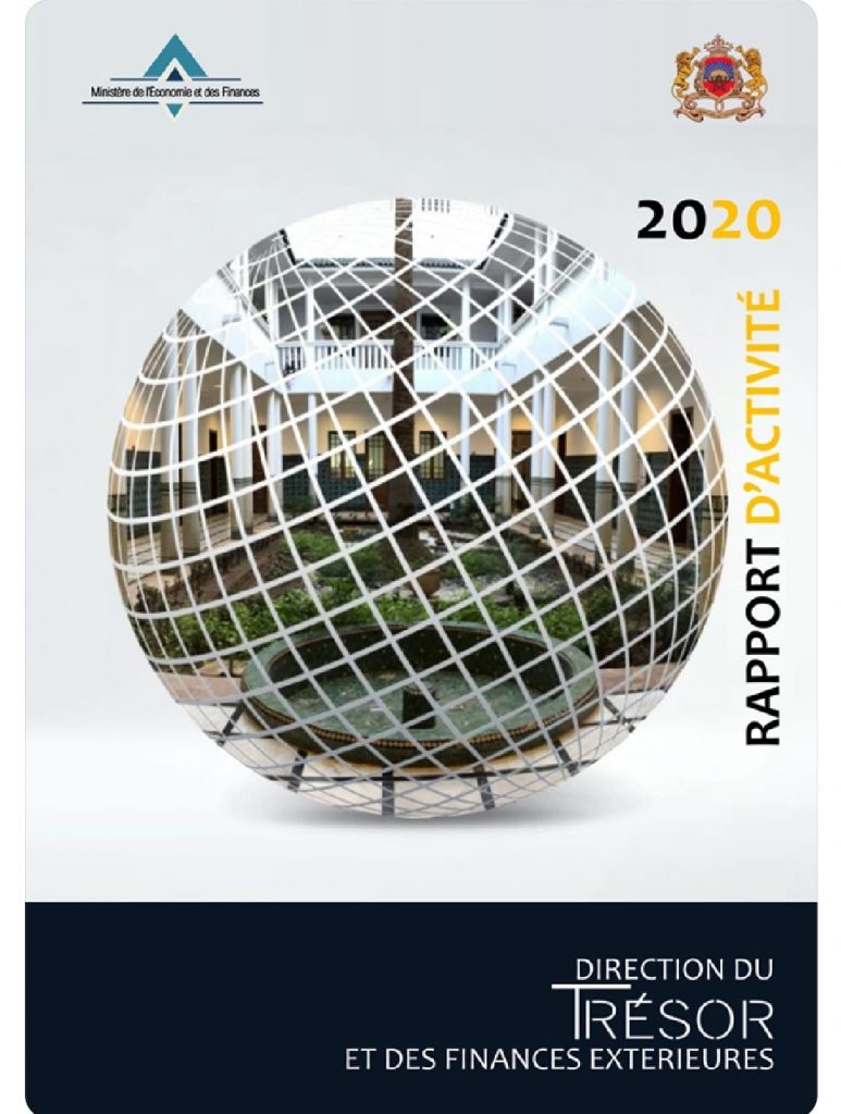 DTFE covid rapport d'activité 2020
