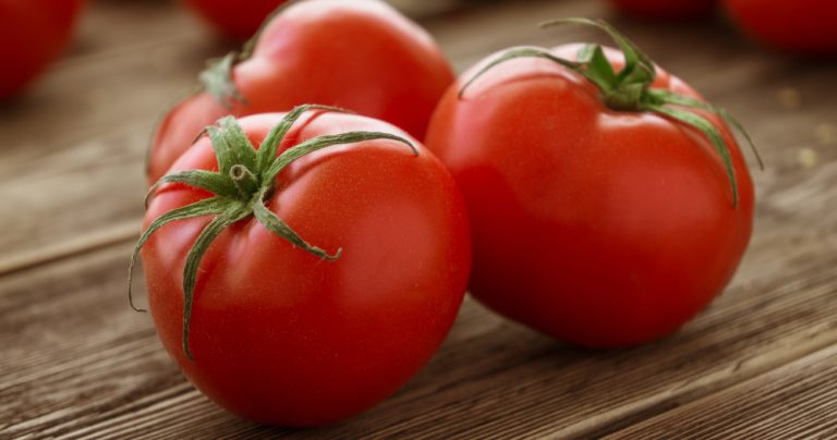 tomates tomato