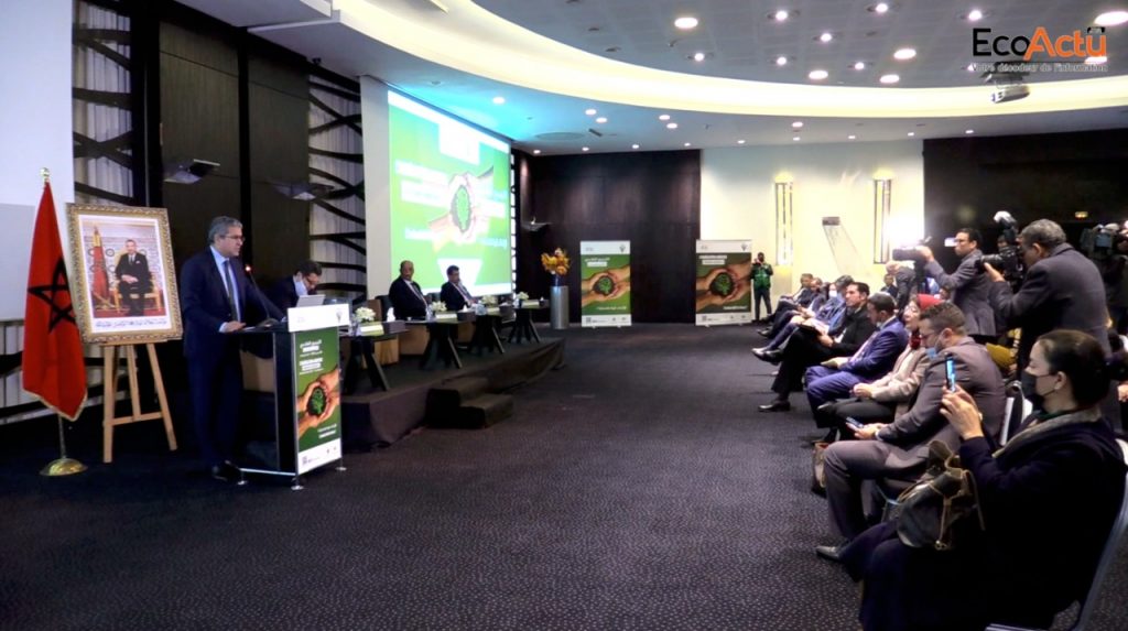 🎥 La région de Casablanca-Settat : locomotive de l'agrégation agricole nationale 1 agrégation agricole