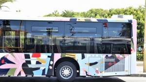bus