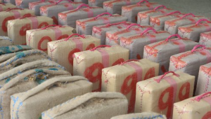 trafic de drogue