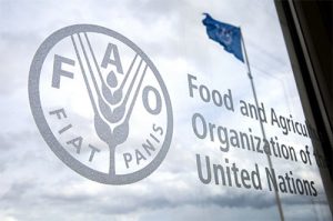 PRIX DENRÉES ALIMENTAIRES FAO phytosanitaires