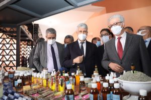 province d'al haouz projets de développement agricole