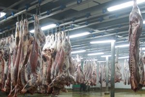 abattoirs de casablanca