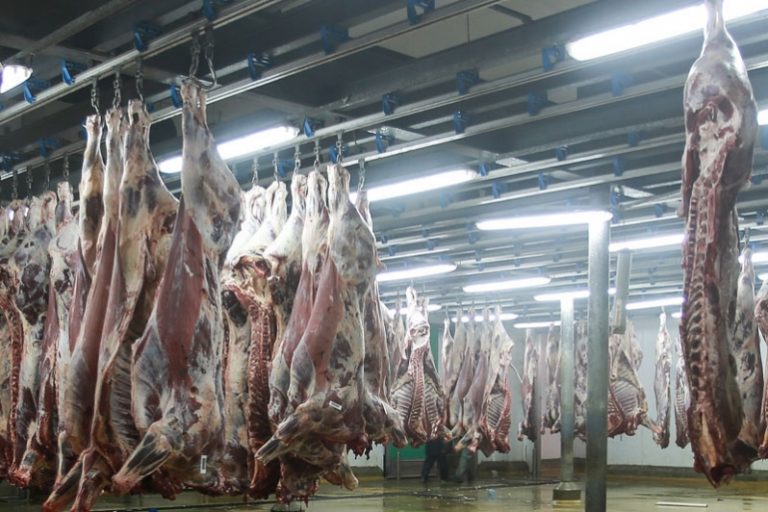 abattoirs de casablanca